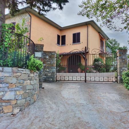 לוצ'יניאנו B&B L'Oliveto מראה חיצוני תמונה