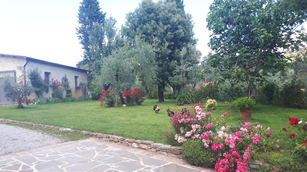 לוצ'יניאנו B&B L'Oliveto מראה חיצוני תמונה